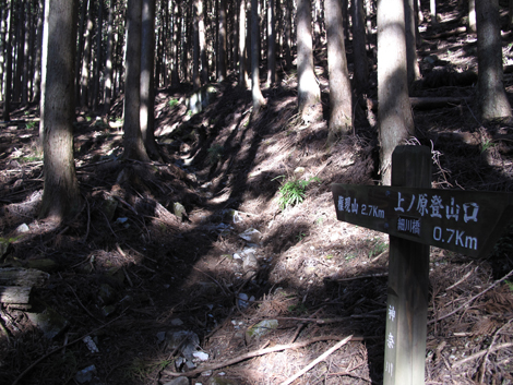20190121hike (30)